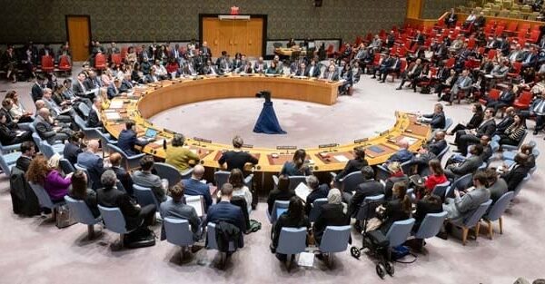 Security Council vetoes on cease-fire proposals: Diplomats