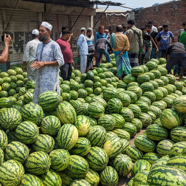 Watermelons worth crores of rupees are sold in the market every day