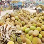 Jackfruits market has accumulated in Comilla, buyers and sellers are happy with the price