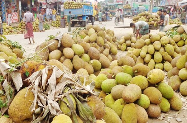 Jackfruits market has accumulated in Comilla, buyers and sellers are happy with the price