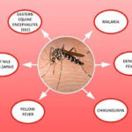 One dengue patient dies, 262 hospitalized in last 24hrs