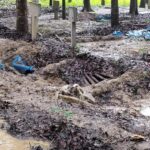 21 skeletons stolen from Aminpur graveyard in the dark of night