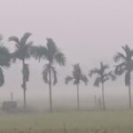 BDRunnTemperature drops to 12 degrees in Panchagarh