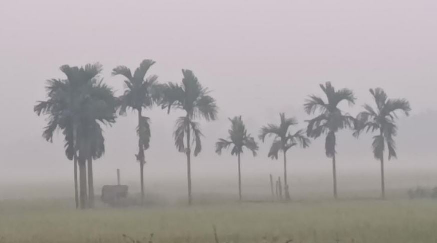 BDRunnTemperature drops to 12 degrees in Panchagarh