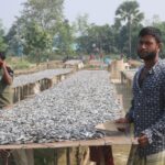 Pabna is exporting dried fish to 25 countries around the world