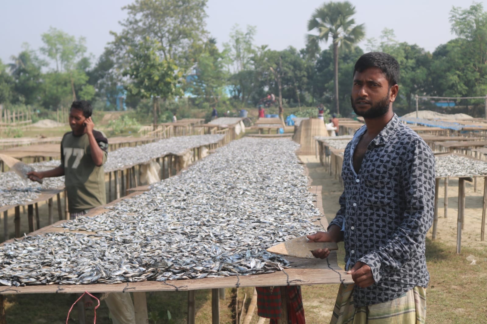 Pabna is exporting dried fish to 25 countries around the world